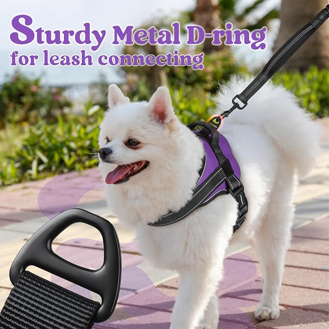rabbitgoo No Pull No Choke Pet Vest, Adjustable Pet Harness with Molle | Medium Sized Dog Harness, Reflective, Easy Wearing with One Buckle for Walking, Training, Purple, M