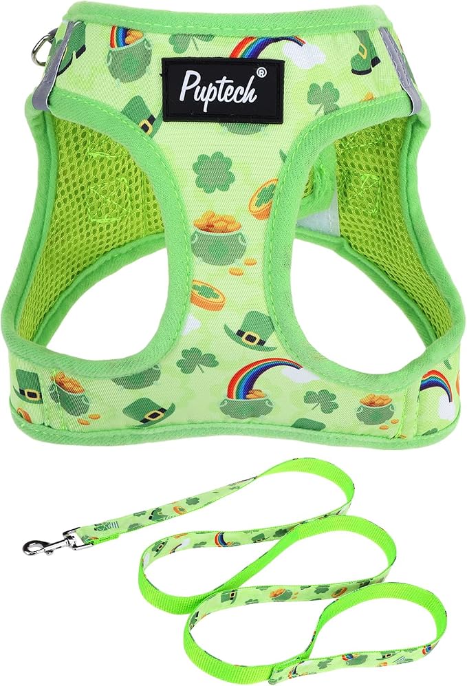 PUPTECK Dog Harness and Leash Set for Small Medium Dogs No Pull Step-in Soft Mesh Puppy Cat Vest Harnesses Reflective at Night, St. Patrick's Green, M