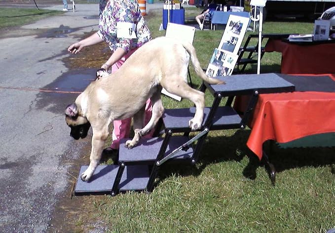 Pet Loader® XL 18" Platform, ABS Plastic Made in The USA -4-Step with Wheels. Safely Carries The Very Large Breeds USA Carpet Folding Dog Stairs for 250 Pound Dogs. Wider and More Stable