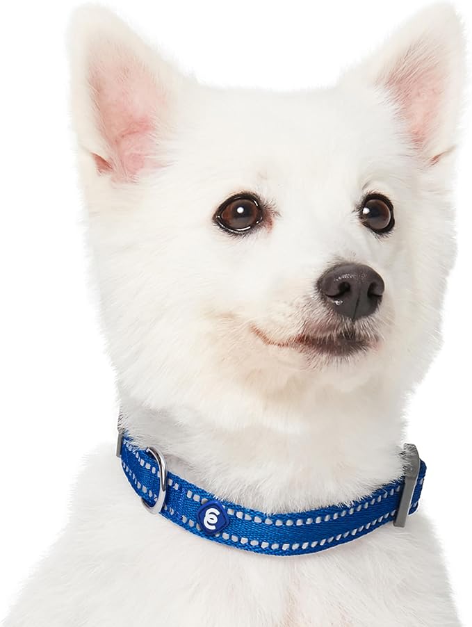 Blueberry Pet Essentials Reflective Dog Collar & Leash Set, Adjustable for Large Dogs | Safe Walking Gear for Pet Parents, Puppy Training & Daily Use LargeDogs, Navy
