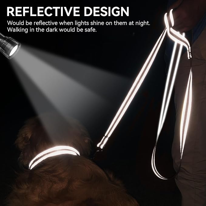 Joytale Reflective Dog Leash for Medium & Large Dogs, 4 FT x 1", Brown | Heavy Duty Nylon Webbing, Padded Handle for Comfort, Visible at Night, for Walking & Training
