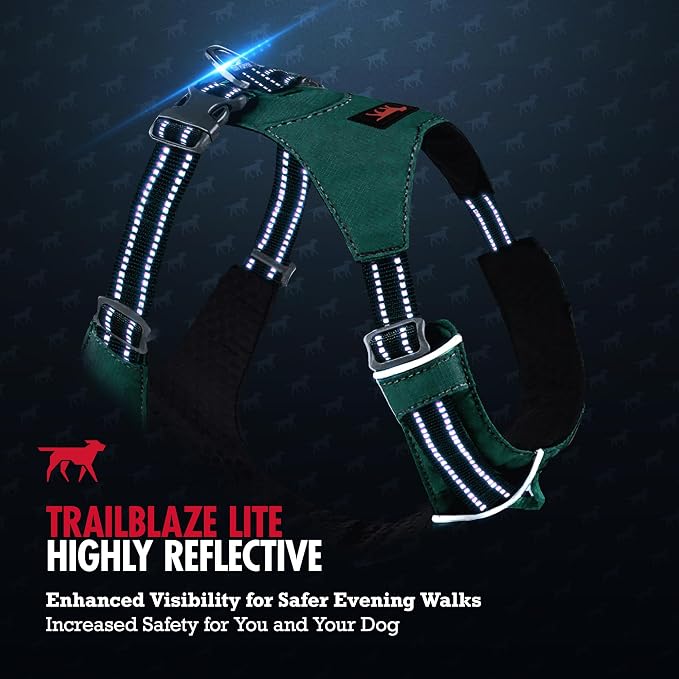 Tuff Pupper All-Day Wear Dog Harness | for Walking, Trail Running, Hiking | Front & Back Leash Clips | Reflective Trim | Easy On/Off Buckles | Lightweight Breathable | No Pull Design (L/XL, Teal)