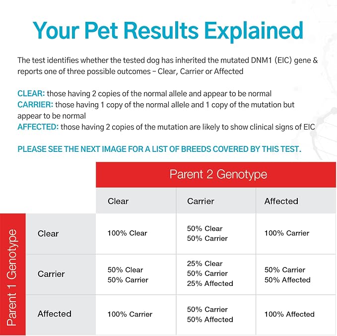 Dog Exercise Induced Collapse (EIC) DNA Test