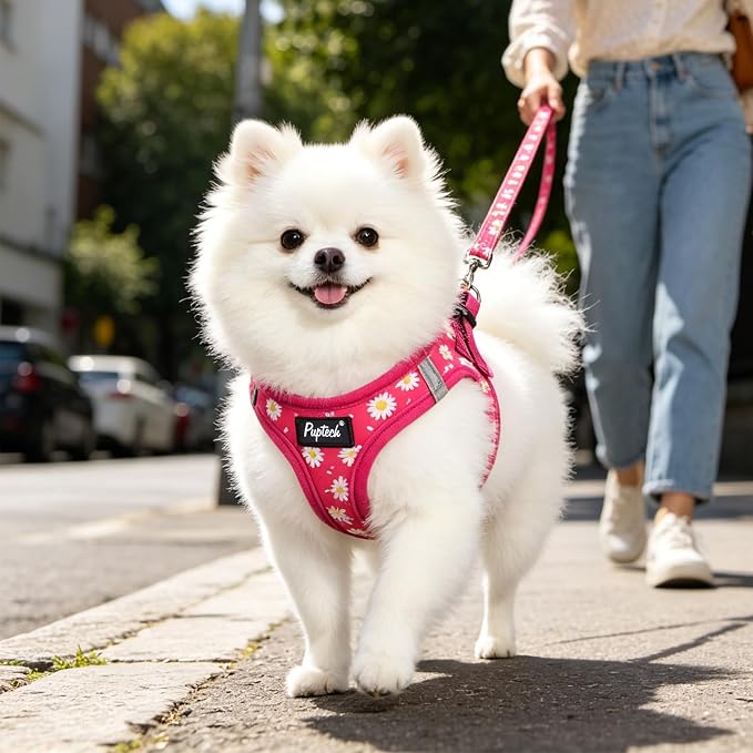 PUPTECK Dog Harness and Leash Set for Small Medium Dogs No Pull Step-in Soft Mesh Puppy Cat Vest Harnesses Reflective at Night, Fuchsia Daisy, S