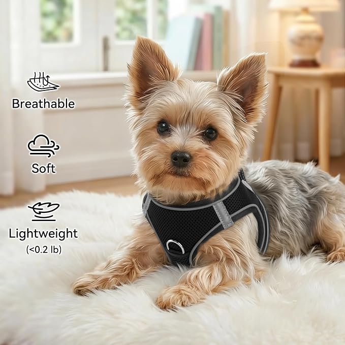 Joytale Step-in Dog Harness, Soft Breathable Mesh, Black XXXS | Adjustable Fit for Small Dogs, Easy Step-in with Secure Fastener, Even Chest Pressure, Reflective For Night Safety, Washable