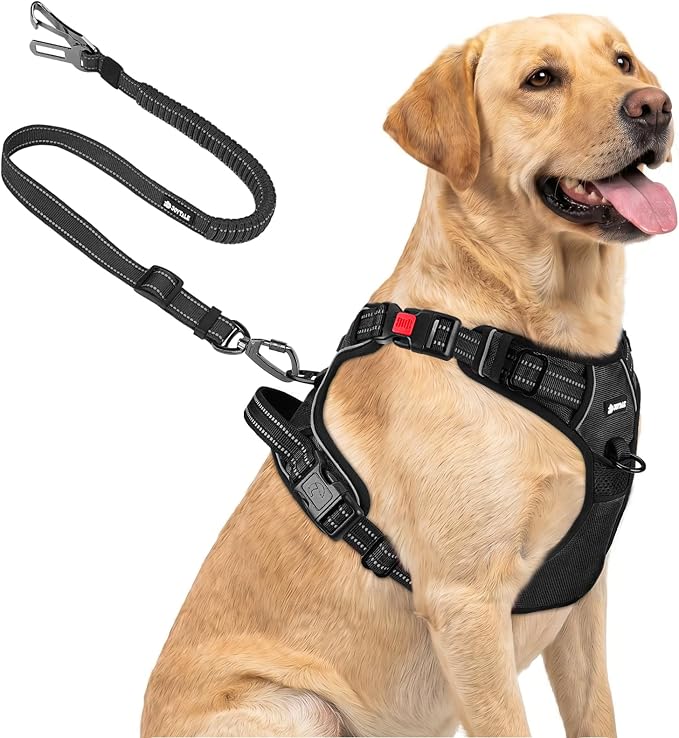 Joytale No Pull Dog Harness & Seat Belt, Easy On 3-Buckle, L, Black | Front Clip Reduces Pulling, Escape-Resistant Design, Adjustable Fit, Soft Padding for Comfort, Secure Tether for Safer Travel