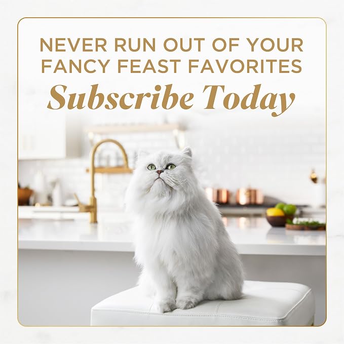 Purina Fancy Feast Gems Wet Cat Food with Beef, 4 oz boxes, 8-Pack