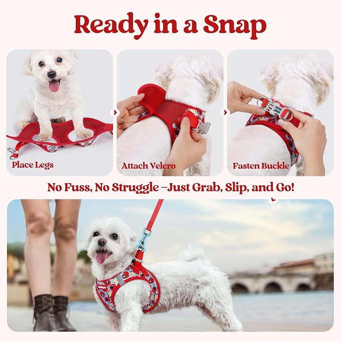 rabbitgoo Dog Harness Medium Sized and Leash Set, Step-in Puppy Pet Vest | Light, Soft, Breathable Air Mesh, Easy on and Remove with Hook & Loop, Secure Reflective for Walking, Apple Pups L