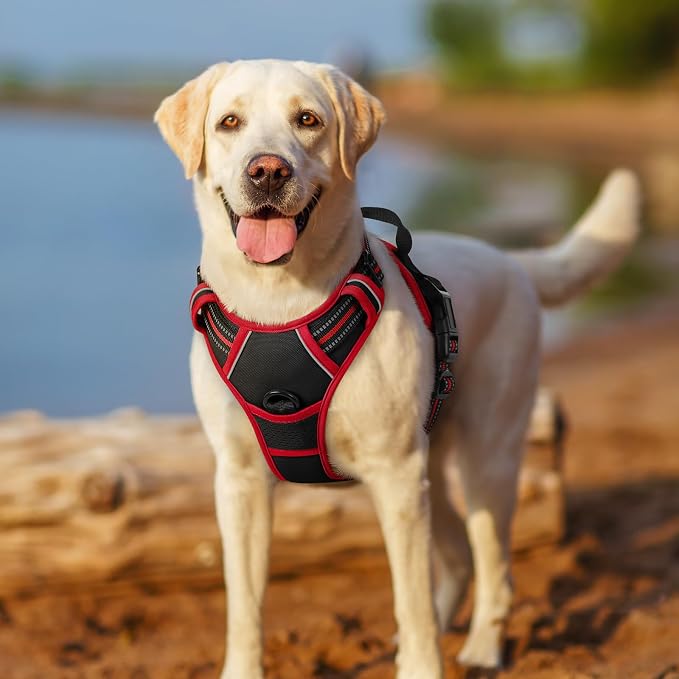 rabbitgoo Dog Harness, No Pull for Large Dogs with 2 Leash Clips, Pet Vest | No Choke with Handle, Adjustable Soft Padded, Reflective, Easy Control for Walking, Black & Red, X-Large