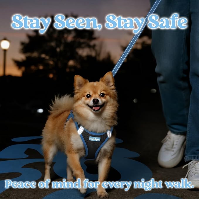rabbitgoo Dog Harness Small Sized and Leash Set, Step in Soft Vest | Breathable Mesh, Easy Wear with Hook & Loop, Light and Reflective for Walking, Multi-colored, Black & Blue, XXS