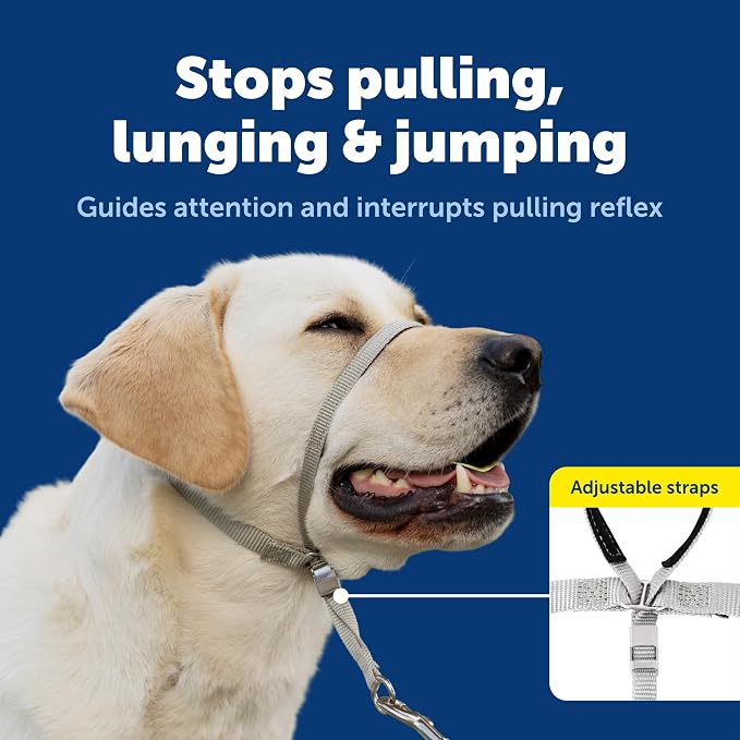 PetSafe Gentle Leader No Pull Dog Headcollar, Royal Blue, Small | Veterinary Behaviorist-Designed No-Pull Headcollar Redirects Pulling Instinct, Padded Neoprene Nose Loop, Quick-Snap Fit