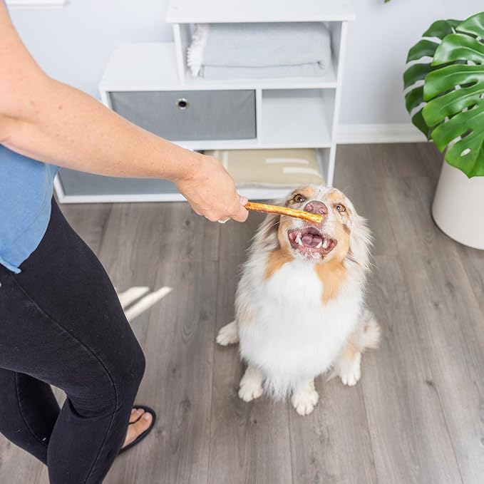 Wild Eats Real Salmon Collagen Bully Sticks for Dogs, (15ct, 1cm Thick) Healthy Bully Stick - Long Lasting Dog Chew Treat