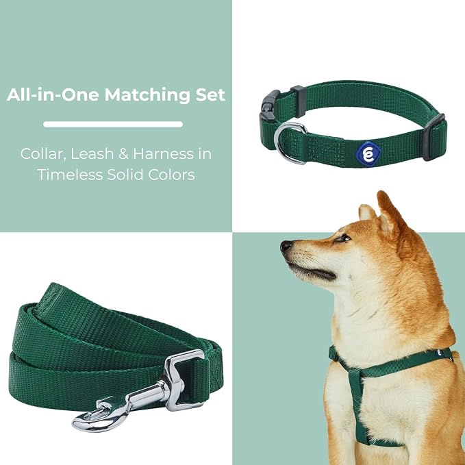 Blueberry Pet Essentials Matching Dog Collar Leash Harness Set in Verdant Green, Adjustable Classic Solid Color Nylon Collar with Harness & 4 ft Leash for Large Dogs