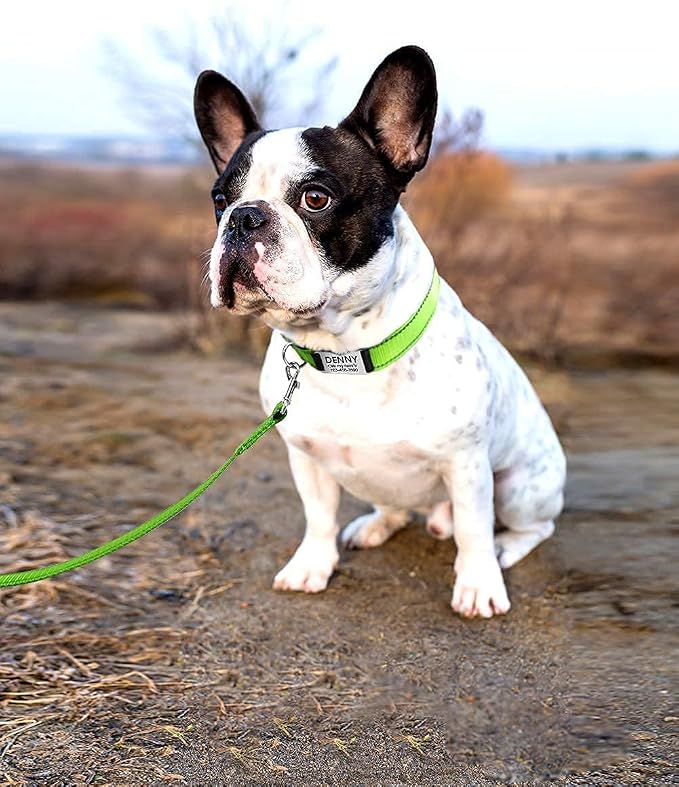 Joytale 12-16 inches Dog Collar and 6FT Leash, Reflective Soft Neoprene Padded Pet Collars and Leashes for Small Dog