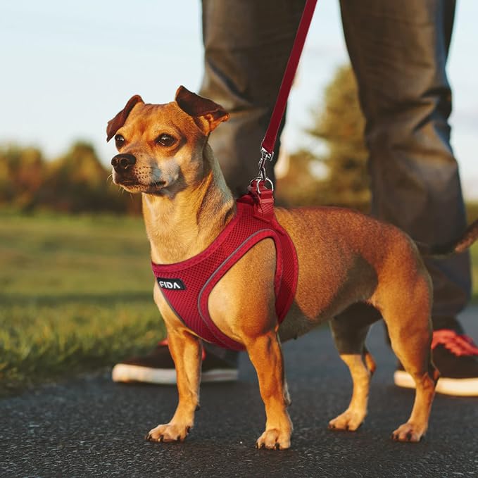 Fida Comfy Dog Harness with Leash, Soft Puppy Vest Escape Proof, Breathable Lightweight Soft Mesh, Adjustable Reflective Step-in Harness for Small & Medium Pet Walking (L, Red)