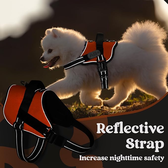 rabbitgoo Dog Harness for Large, Easy On Pet Vest with One Buckle, No Pull Adjustable Service Harness with D-Ring & Handle, Reflective for Safety Walking, Training, Orange, L