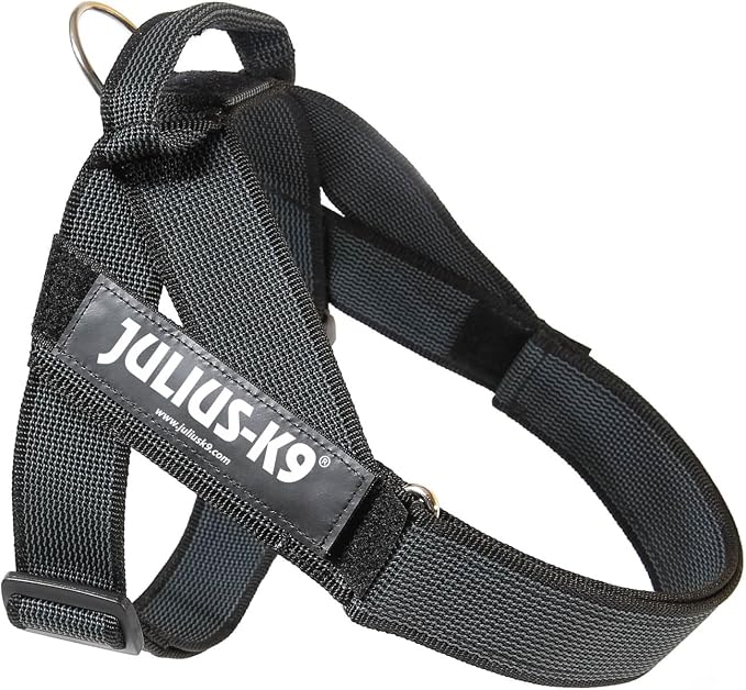 Julius-K9 IDC Color & Gray Belt Harness, Size: L/1, Black-Gray