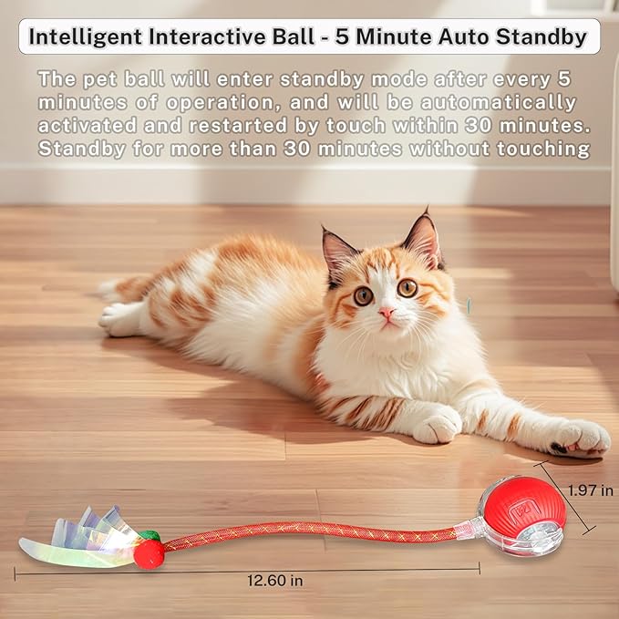 Speedy Tail 3.0 Interactive Toy Ball, 2 Tails for Cats & Dogs | cat chase toy|chirping bird cat toy|Adjustable sound level|300 mA high-capacity battery