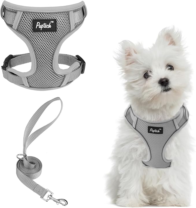 PUPTECK Small Dog Harness and Leash Set, No Pull Adjustable Puppy Cat Harness, Reflective Soft Mesh Pet Vest Small Sized, Grey, S