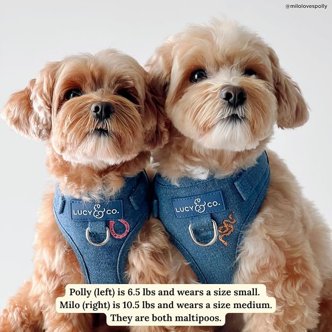 Lucy & Co. The Giddy Up No-Pull Dog Harness for Dogs – Vest to Stop Pulling & Walk Easy – Comfortable Leash Training Product w/Adjustable Chest & Neck Straps - Blue Demin Cowboy - Large