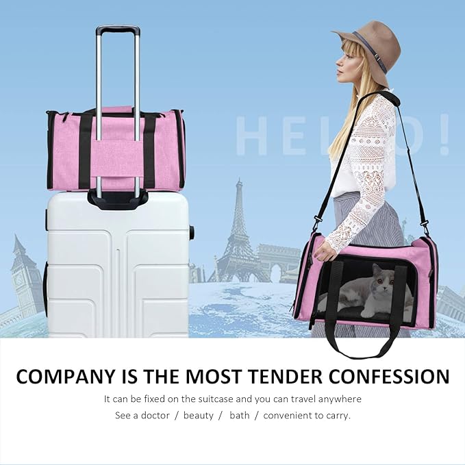 Henkelion Pet Carrier, Small/Medium Up to 15 lbs, TSA Airline Approved, Pink