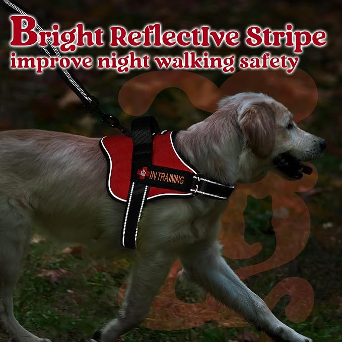 rabbitgoo No Pull No Choke Pet Vest, Adjustable Pet Harness with Molle | Small Sized Dog Harness, Reflective, Easy Wearing with One Buckle for Walking, Training, Red, S