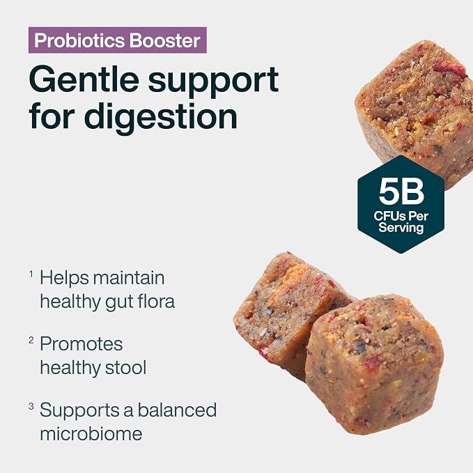 JustFoodForDogs Probiotic Booster Supplements for Dogs, Gut Health - 45 Ct | Human Grade, Dog Supplement for Immune & Digestive Support, Multivitamin Soft Chews, Superfood Blend, Plant Based Dog Vitamin