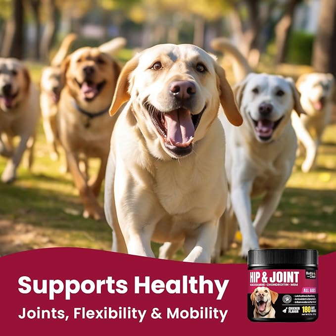 Glucosamine for Dogs - Hip and Joint Supplement Chews for Senior & Large Breed, Joint Supplement for Dogs with Chondroitin, Wuffe Joint Chews for Pain Relief - 60-Day Satisfaction Guarantee - 180 Ct