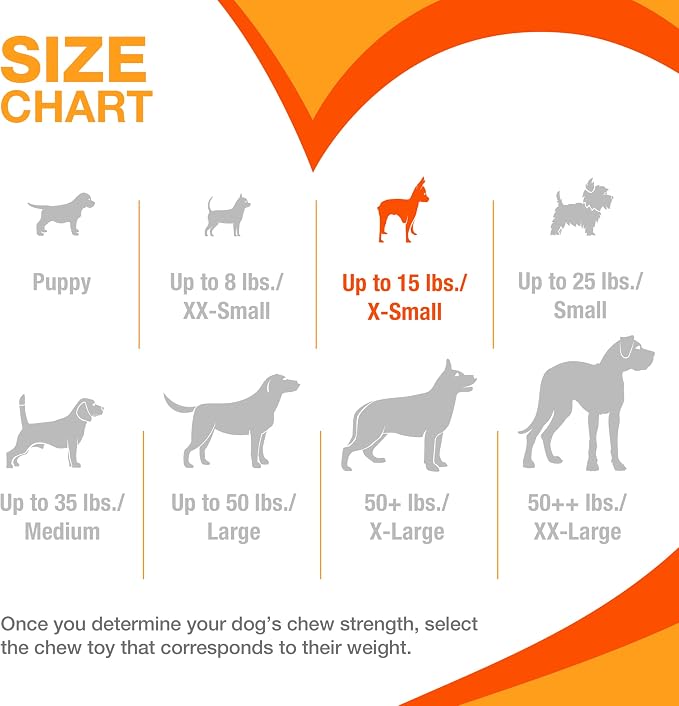 Nylabone Power Chew Ring Bone Dog Chew Toy, Flavor Medley, X-Small | Durable chew toys, long lasting, discourages destructive chewing, teeth-cleaning textures, for dogs up to 15 lbs