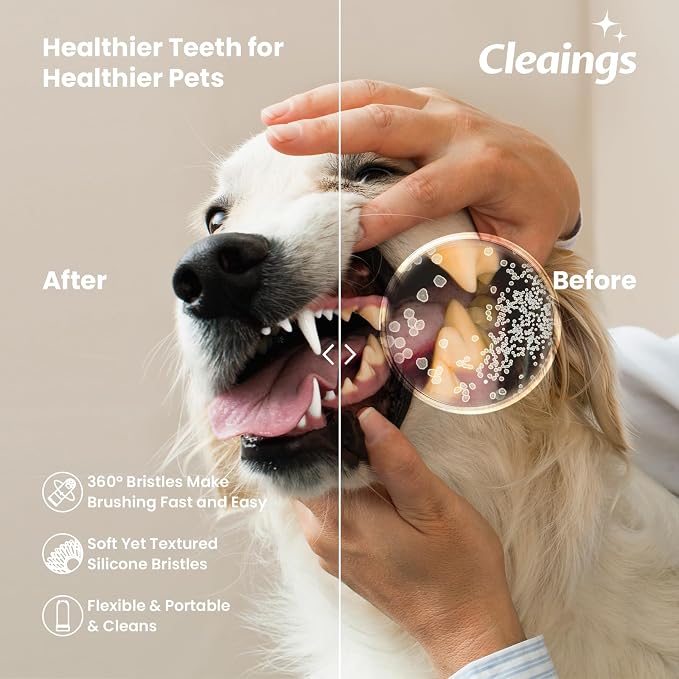 Dog Finger Toothbrush with Flavor Burst Beads, 360° Silicone Dog Toothbrush Kit for Dogs & Cats, Deep Teeth Cleaning, (36 Beads per Brush), No Pet Toothpaste Needed - 2 Pcs Beef Flavor