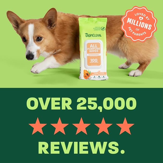 TropiClean Papaya & Coconut Luxury 2-in-1 Pet Wipes, 100ct - Wipes for Dogs & Cats - Gently Removes Dirt, Dander & Smells - for Pet Paws, Face, Body & Bottom - Tropical Papaya & Coconut Scent
