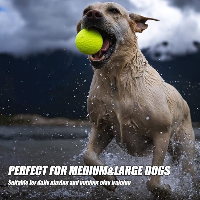Dog Ball Toy for Aggressive Chewers, Indestructible Floating, Large Dogs