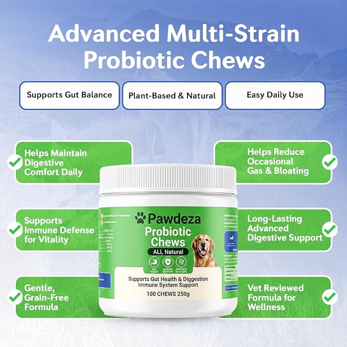 Dog Probiotics Chews – 6 Billion CFU with Prebiotics, Pumpkin, Inulin, Chicory Root & Digestive Enzymes – Supports Gut Health, Digestion, Immunity & Regularity – Natural oft Chews for Dogs