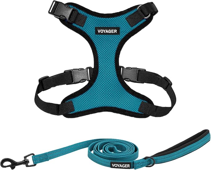 Best Pet Supplies Voyager Step-in Lock Pet Harness w Reflective Pet Leash Combo Set with Neoprene Handle 5ft - Supports Small, Medium and Large Breed Puppies/Cats - Turquoise/Black Trim Set, L