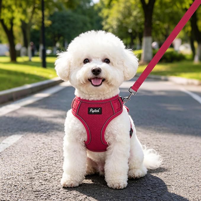 PUPTECK Soft Mesh Small Dog Harness and Leash Set Pet Puppy Cat Adjustable Reflective Padded Vest No Pull Harnesses, Hot Pink, S