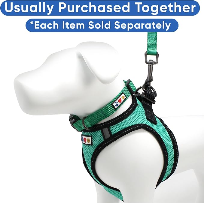Pawtitas Dog Vest Harness Made with Breathable Air Mesh | All Weather Vest Harness for Large Dogs with Quick-Release Buckle - Teal Mesh Dog Harness for Training and Walking Your Pet.