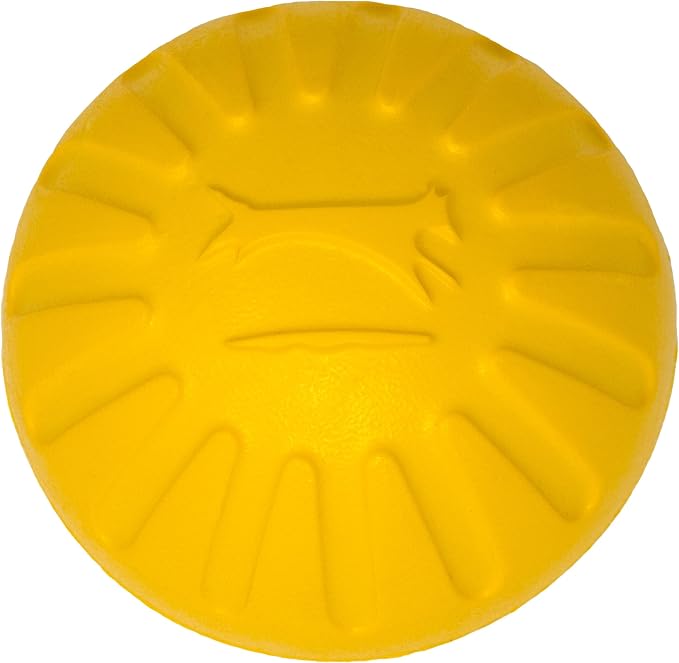 Fantastic Foam Large Ball, Colors Vary