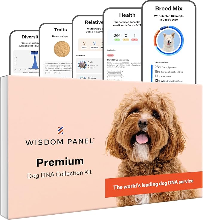 Wisdom Panel Premium DNA Test Kit, 1-Pack