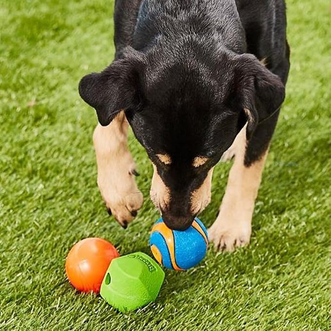 Chuckit Gen 1 Fetch Pack Dog Balls, Medium, 2.5in, Set of 3