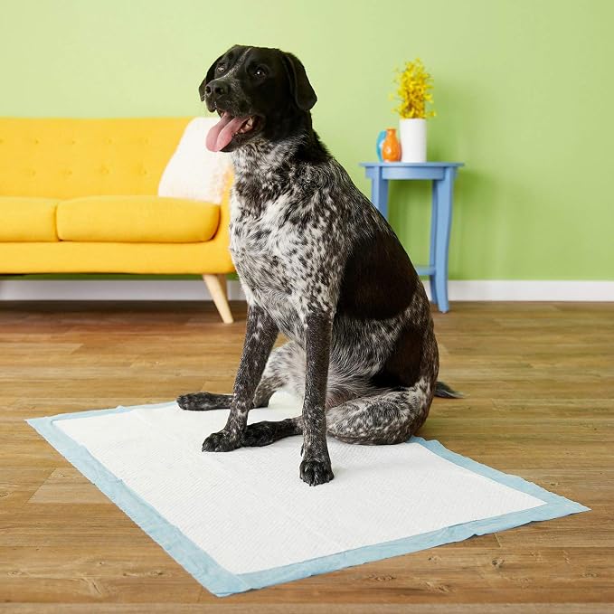 Four Paws Wee-Wee Pads, Gigantic, 18 per Pack (144-Count)