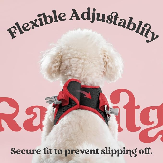 rabbitgoo Dog Harness Small Sized and Leash Set, Step in Soft Vest | Breathable Mesh, Easy Wear with Hook & Loop, Light and Reflective for Walking, Multi-colored, Black & Red, XS
