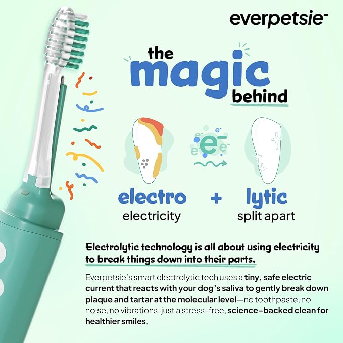 Electric Dog Toothbrush with Innovative Electrolytic Technology - Silent and Gentle Electric Toothbrush for Dogs, Effortless Dog Plaque and Tartar Remover Without a Toothpaste (Large)