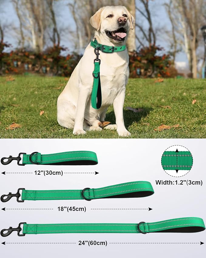 Joytale Short Dog Leash for Close Control & Training, 24", Teal | Padded Comfort Handle, Reinforced Nylon Webbing, Secure Metal Clip, for Busy Streets & Heel Training