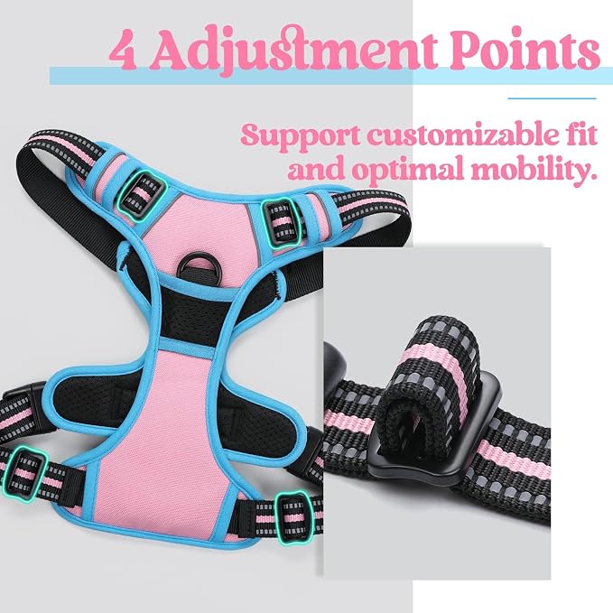 rabbitgoo Dog Harness, No Pull for Large Dogs with 2 Leash Clips, Pet Vest | No Choke with Handle, Adjustable Soft Padded, Reflective, Easy Control for Walking, Pink & Blue, X-Large