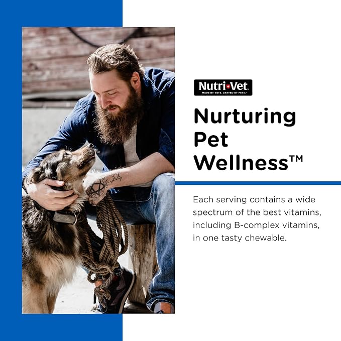Nutri-Vet Dog Multivitamin, Daily Multivitamin for Dogs, 180 Count | Daily Multivitamin, Dog Vitamins, Dog Vitamins & Supplements, Immune Support, Balanced Nutrition, Overall Pet Health