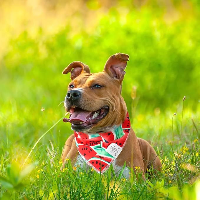 E-Clover Summer Dog Bandanas Girl Matching Dog Bandana and Scrunchie Large, Large-set of 1, Large
