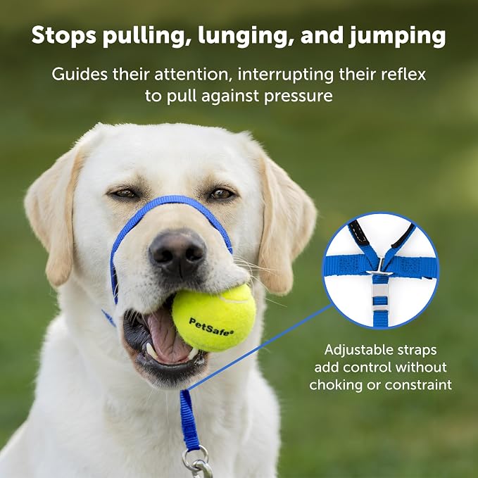 PetSafe Gentle Leader No-Pull Dog Headcollar - The Ultimate Solution to Pulling - Redirects Your Dog's Pulling for Easier Walks - Helps You Regain Control - Large, Charcoal (Pack of 6)