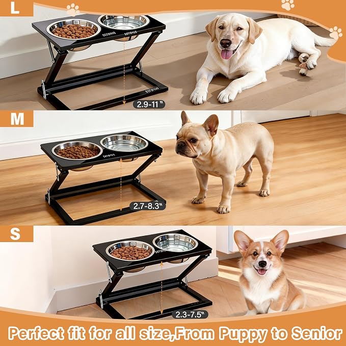Elevated Dog Bowls, Adjustable Raised Dog Bowl Stand with 2 Stainless Steel Food Bowls 20°Tilted Water Bowls for Small Sized Dogs and Cats (Black, Small)