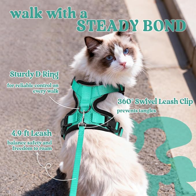 rabbitgoo Cat Harness and Leash Set, Escape Proof Vest, Emerald | Soft Breathable Mesh, Easy Adjustable Fit, Snap Buckles, Sturdy Clip, Reflective Strips, for Kittens & Small Cats Walks, Xxs