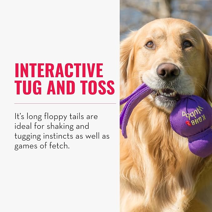 KONG Wubba Tug of War and Fetch Dog Toy, for XL Dogs | Indoor & Outdoor Toy for Puppy & Dog Playtime, Great for Tug of War & Fetch, Color Randomly Provided